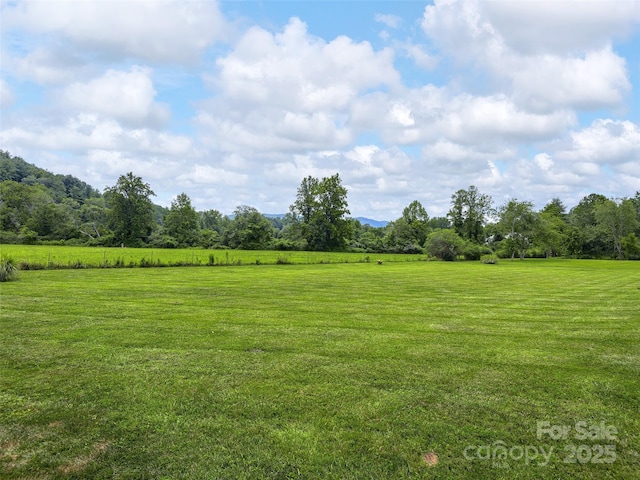 30 Beaumont Dr, Hendersonville, NC 28739 - photo 32