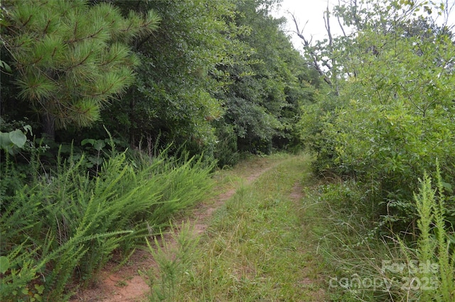 0 US-221 Hwy N, Rutherfordton, NC 28139 - photo 2