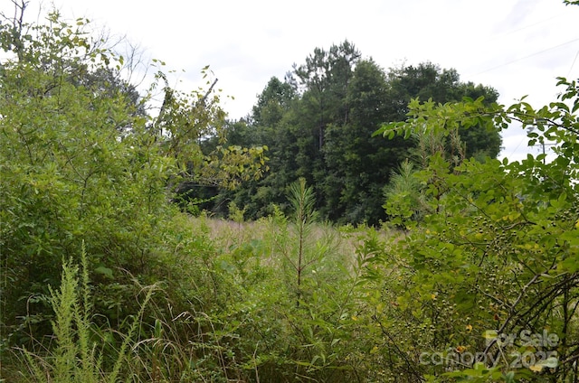 0 US-221 Hwy N, Rutherfordton, NC 28139 - photo 3