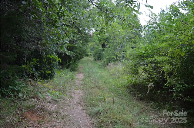 0 US-221 Hwy N, Rutherfordton, NC 28139 - photo 4