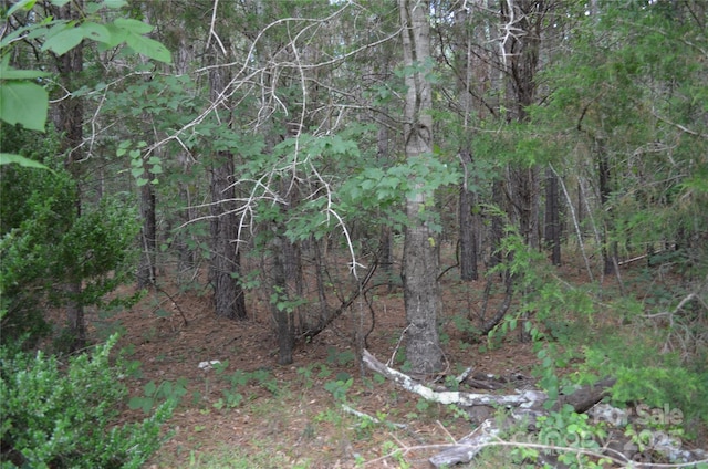 0 US-221 Hwy N, Rutherfordton, NC 28139 - photo 5