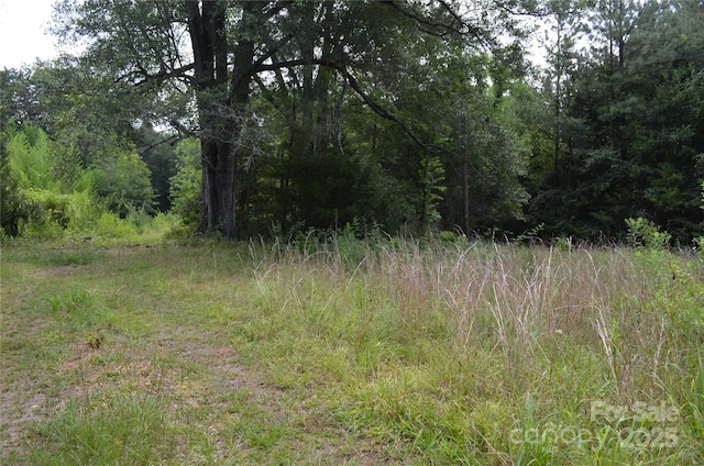 0 US-221 Hwy N, Rutherfordton, NC 28139 - photo 6