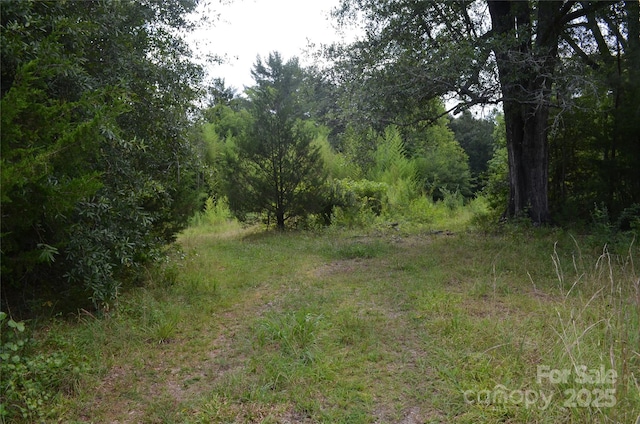 0 US-221 Hwy N, Rutherfordton, NC 28139 - photo 7