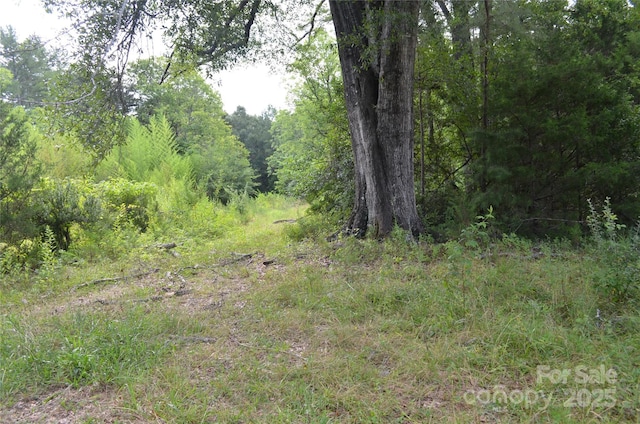0 US-221 Hwy N, Rutherfordton, NC 28139 - photo 8