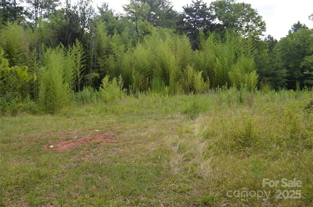 0 US-221 Hwy N, Rutherfordton, NC 28139 - photo 9