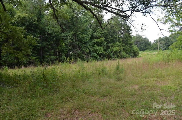 0 US-221 Hwy N, Rutherfordton, NC 28139 - photo 10