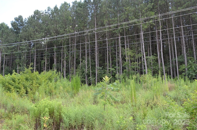 0 US-221 Hwy N, Rutherfordton, NC 28139 - photo 11
