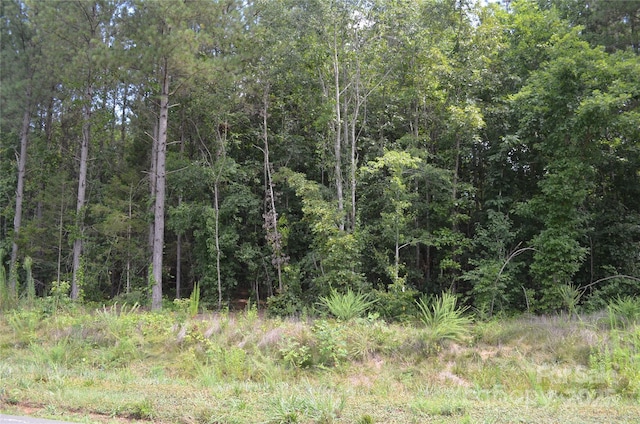 0 US-221 Hwy N, Rutherfordton, NC 28139 - photo 13