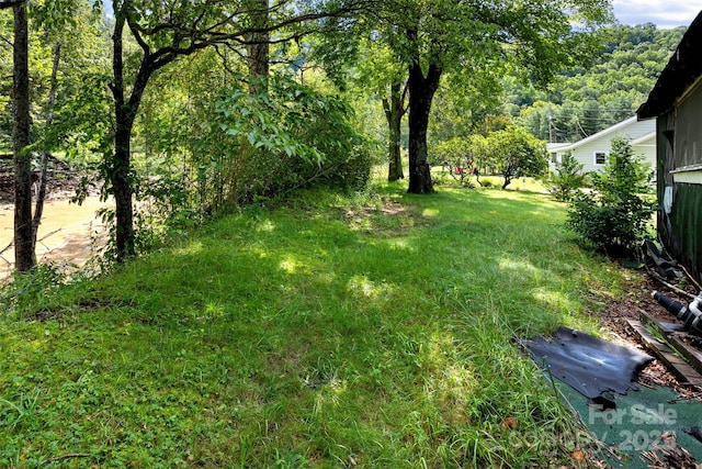 9521 Cruso Rd, Canton, NC 28716 - photo 46