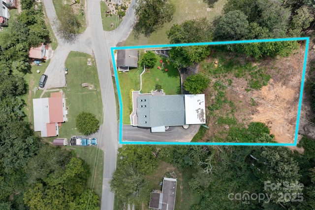 207 Jonestown Rd, Asheville, NC 28804 - photo 4