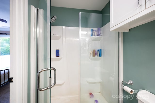 207 Jonestown Rd, Asheville, NC 28804 - photo 16