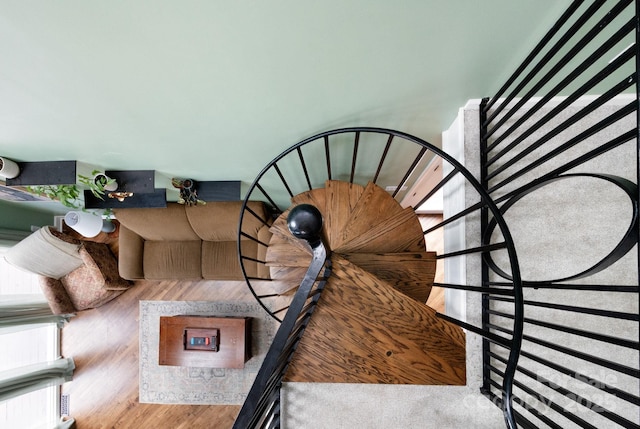 207 Jonestown Rd, Asheville, NC 28804 - photo 21