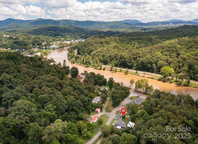 207 Jonestown Rd, Asheville, NC 28804 - photo 41
