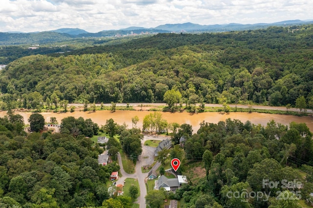 207 Jonestown Rd, Asheville, NC 28804 - photo 42