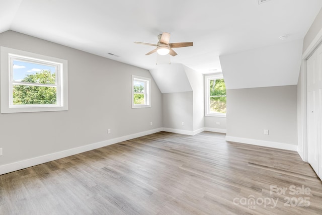 338 Espen Rdg, Asheville, NC 28804 - photo 29