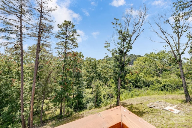 338 Espen Rdg, Asheville, NC 28804 - photo 43