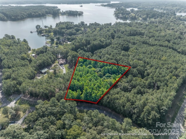 2031 Tiger Paw Ln, York, SC 29745 - photo 5