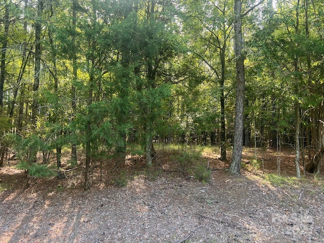 2031 Tiger Paw Ln, York, SC 29745 - photo 7