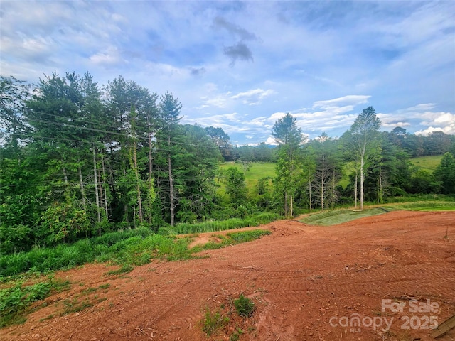 75 Eller Ford Rd, Weaverville, NC 28787 - photo 8