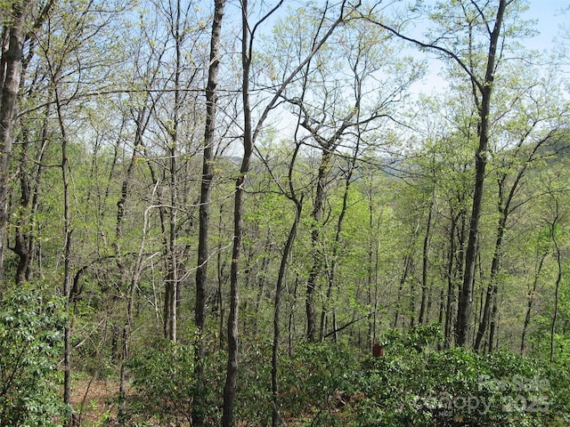 313 Line Runner Ridge Rd, Rosman, NC 28772 - photo 2