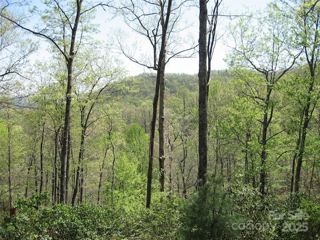 313 Line Runner Ridge Rd, Rosman, NC 28772 - photo 5