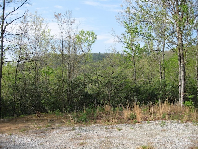 313 Line Runner Ridge Rd, Rosman, NC 28772 - photo 6