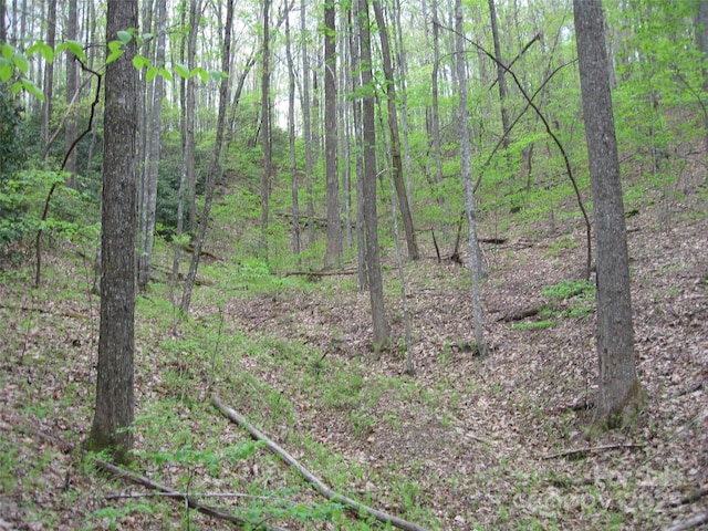 313 Line Runner Ridge Rd, Rosman, NC 28772 - photo 7