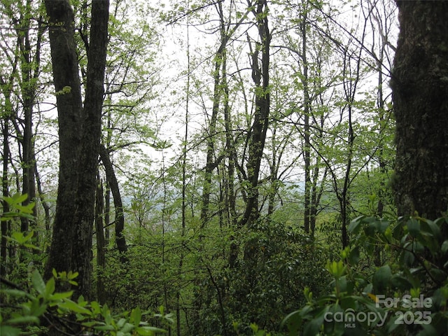 313 Line Runner Ridge Rd, Rosman, NC 28772 - photo 12