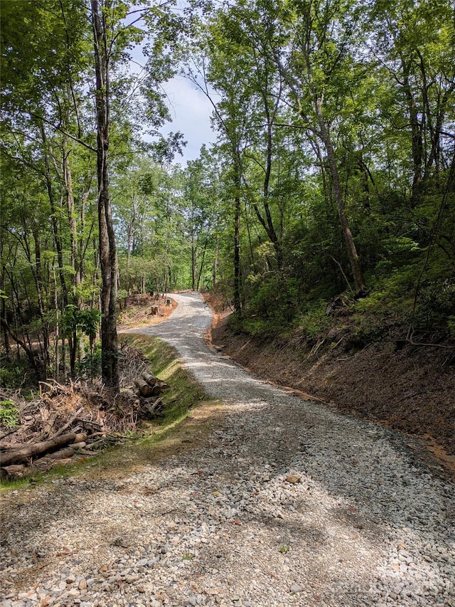 313 Line Runner Ridge Rd, Rosman, NC 28772 - photo 13