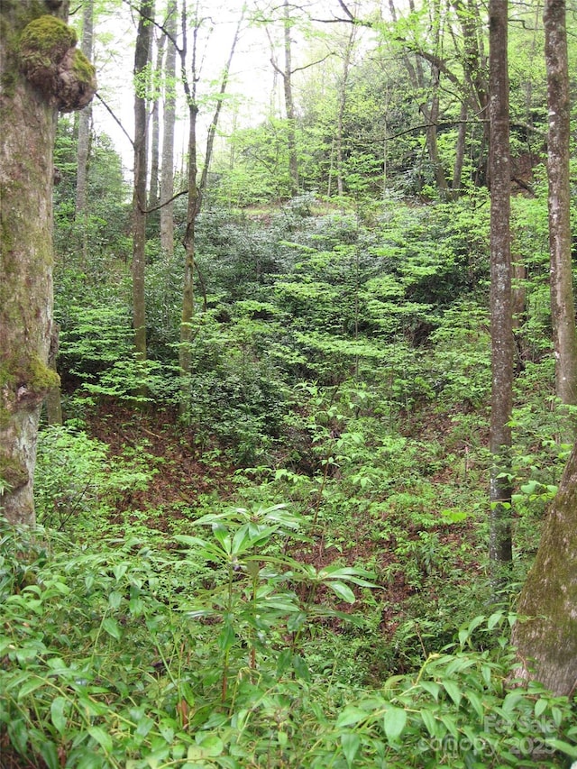 313 Line Runner Ridge Rd, Rosman, NC 28772 - photo 14