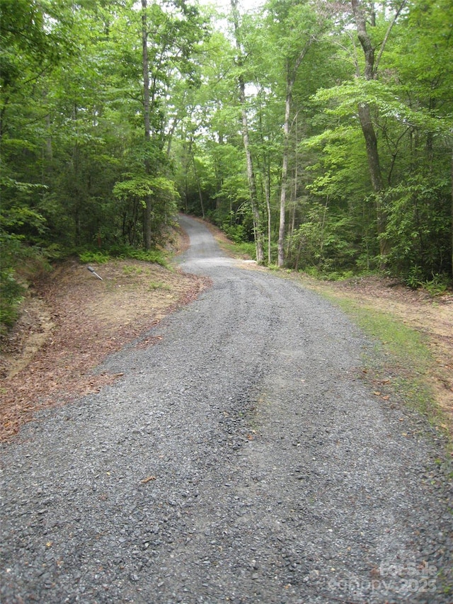 313 Line Runner Ridge Rd, Rosman, NC 28772 - photo 15