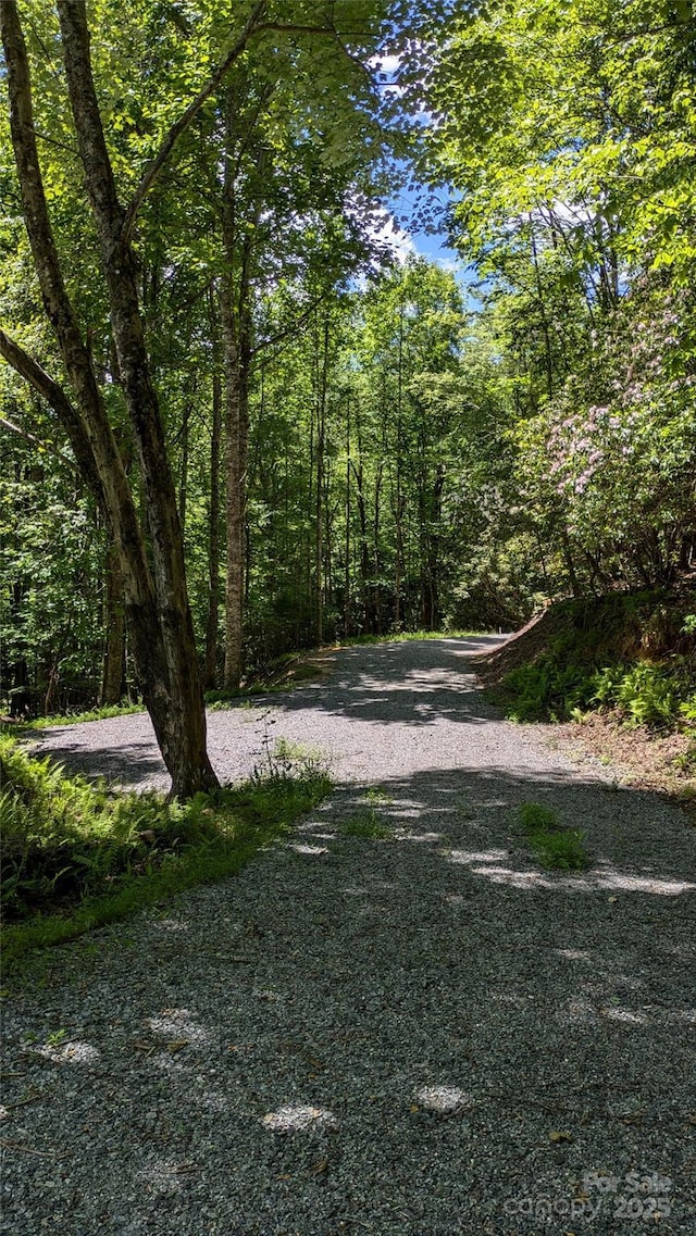 313 Line Runner Ridge Rd, Rosman, NC 28772 - photo 17
