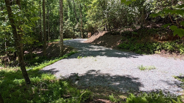 313 Line Runner Ridge Rd, Rosman, NC 28772 - photo 18