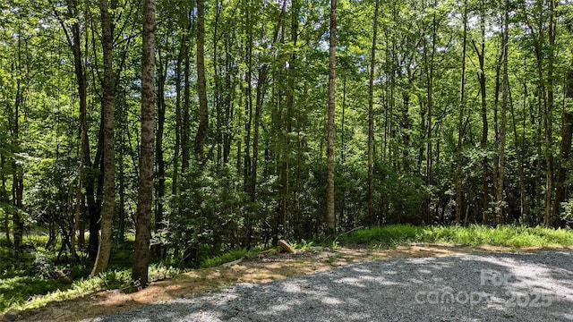313 Line Runner Ridge Rd, Rosman, NC 28772 - photo 19