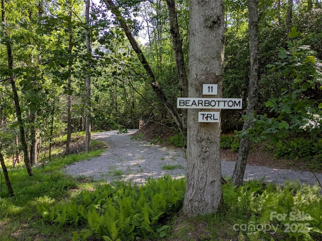 313 Line Runner Ridge Rd, Rosman, NC 28772 - photo 24