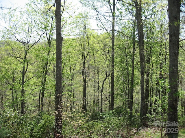 313 Line Runner Ridge Rd, Rosman, NC 28772 - photo 25