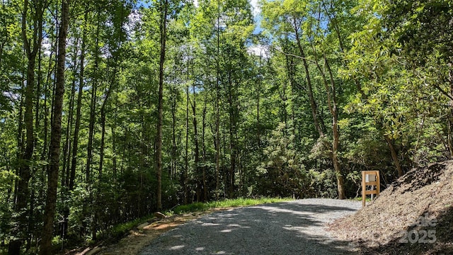 313 Line Runner Ridge Rd, Rosman, NC 28772 - photo 26