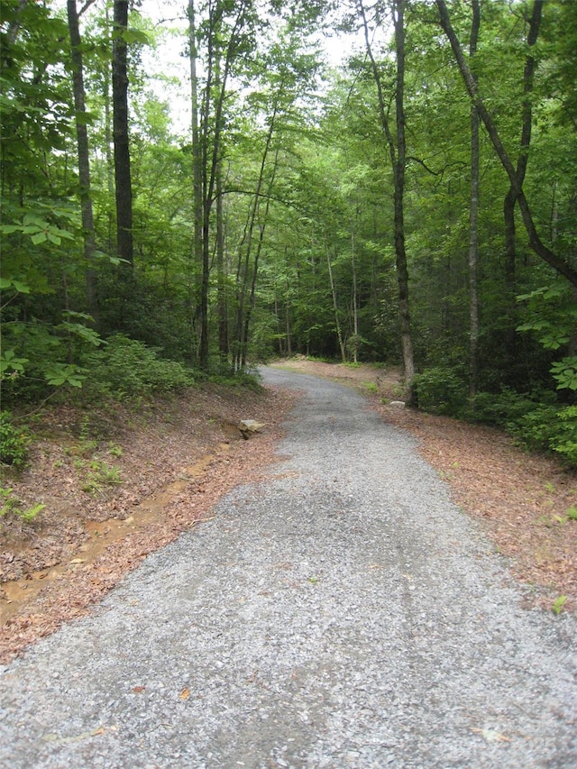 313 Line Runner Ridge Rd, Rosman, NC 28772 - photo 27