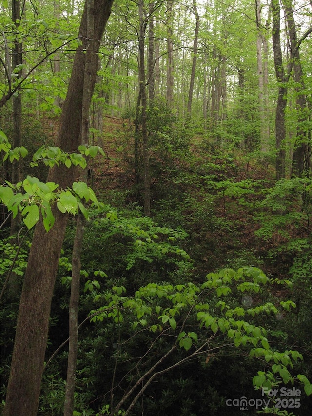 313 Line Runner Ridge Rd, Rosman, NC 28772 - photo 28