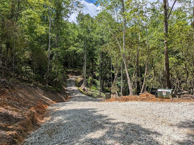 313 Line Runner Ridge Rd, Rosman, NC 28772 - photo 30