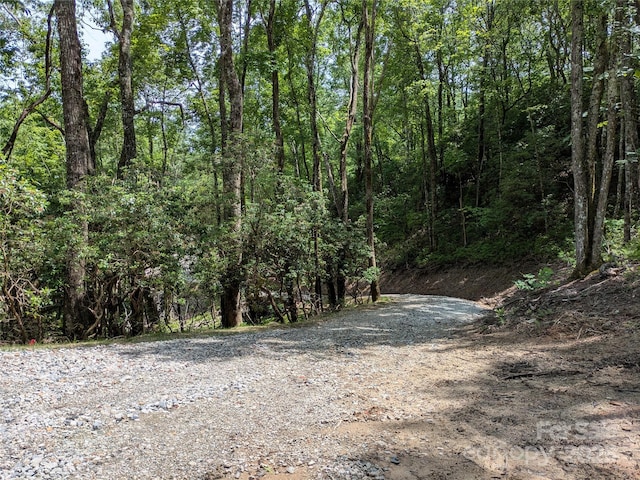 313 Line Runner Ridge Rd, Rosman, NC 28772 - photo 36