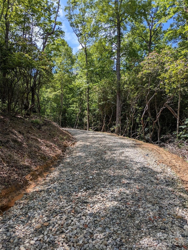 313 Line Runner Ridge Rd, Rosman, NC 28772 - photo 37