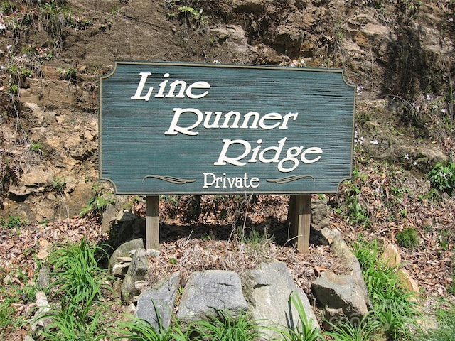 313 Line Runner Ridge Rd, Rosman, NC 28772 - photo 38