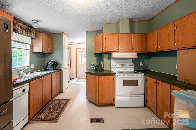129 Oak Trails Pass, Leicester, NC 28748 - photo 14