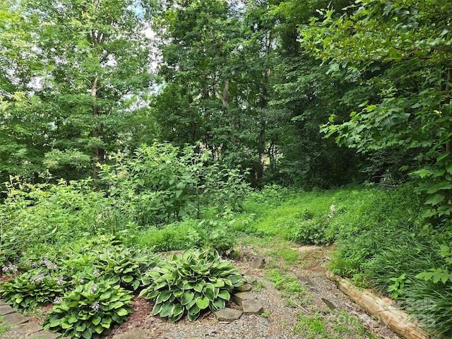 129 Oak Trails Pass, Leicester, NC 28748 - photo 23