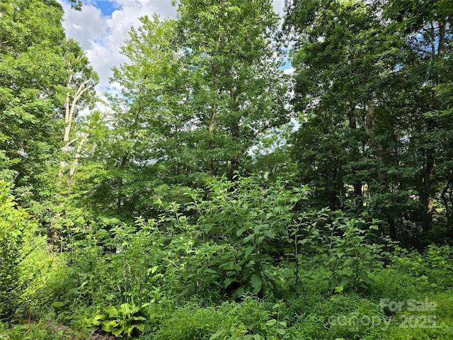 129 Oak Trails Pass, Leicester, NC 28748 - photo 24