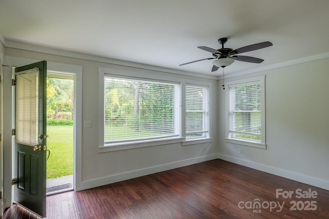 116 Unaka Ave, Asheville, NC 28803 - photo 37
