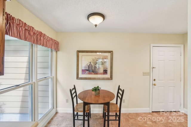 320 Dawnbrook Dr, Flat Rock, NC 28731 - photo 13