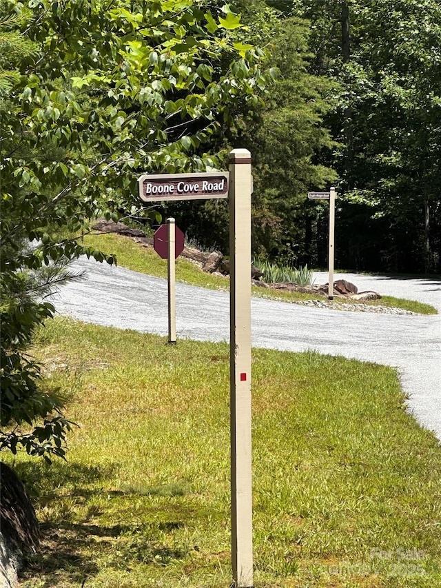 66 Boone Cove Rd, Zirconia, NC 28790 - photo 2