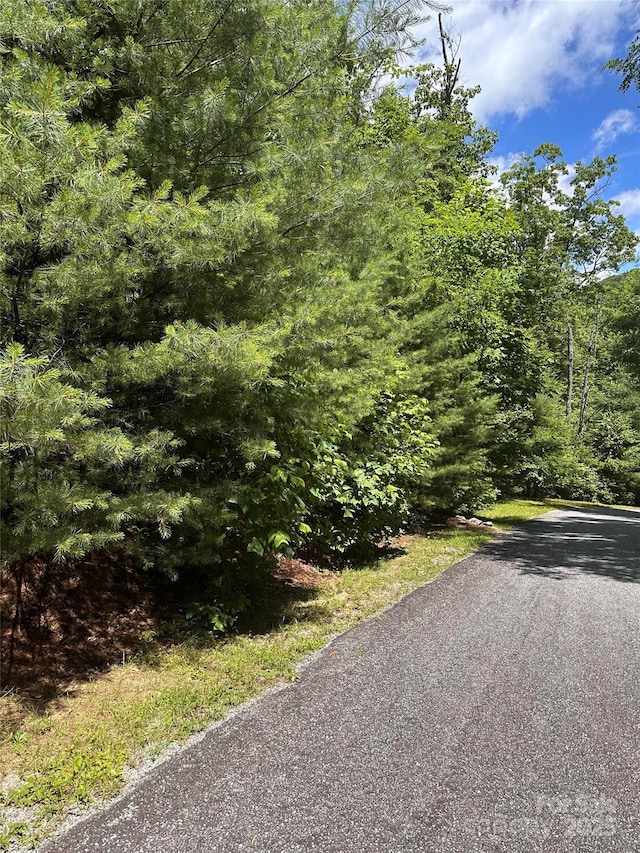66 Boone Cove Rd, Zirconia, NC 28790 - photo 4